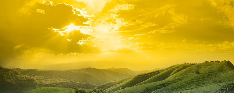 background header image